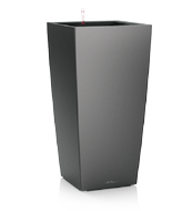 office plants lechuza cubico charcoal